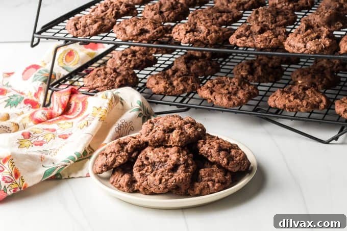 Rich, chocolatey, and chewy Double Chocolate Oatmeal Cookies