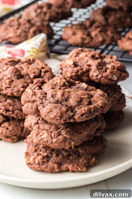 Closeup of freshly baked Chocolate Oatmeal Cookies