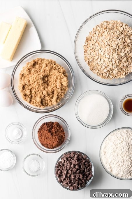 All the ingredients for Double Chocolate Oatmeal Cookies laid out