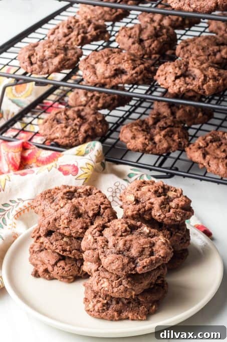 A chocolate twist on a classic oatmeal cookie, looking delicious