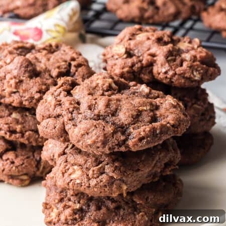 Chocolate Oatmeal Cookies
