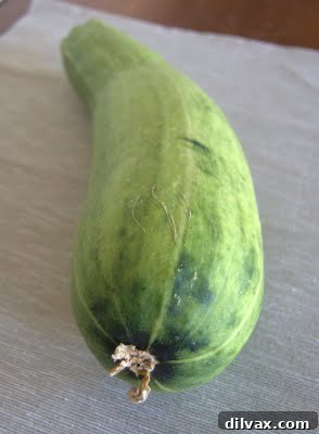 A large, fresh zucchini on a kitchen counter, ready for preparation.