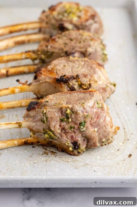 Lamb Chops Recipe