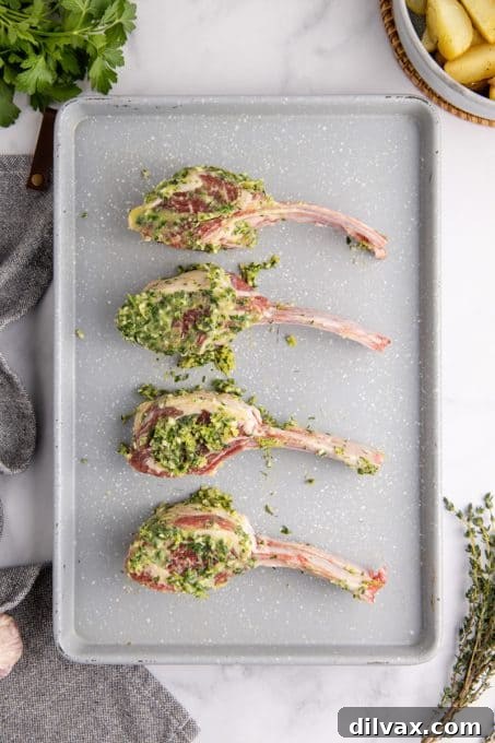 Marinated cuts of lamb ready for the oven.