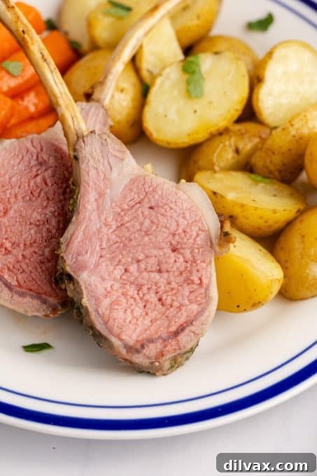 A French style chop of lamb.