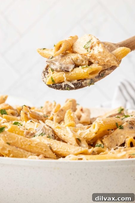 Close-up of a serving of Creamy Chicken Mushroom Pasta, highlighting the creamy sauce and perfectly cooked ingredients.