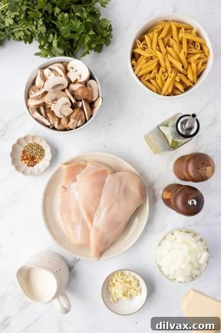Assortment of fresh ingredients for Creamy Chicken Mushroom Pasta, including chicken breasts, mushrooms, onions, garlic, and heavy cream.