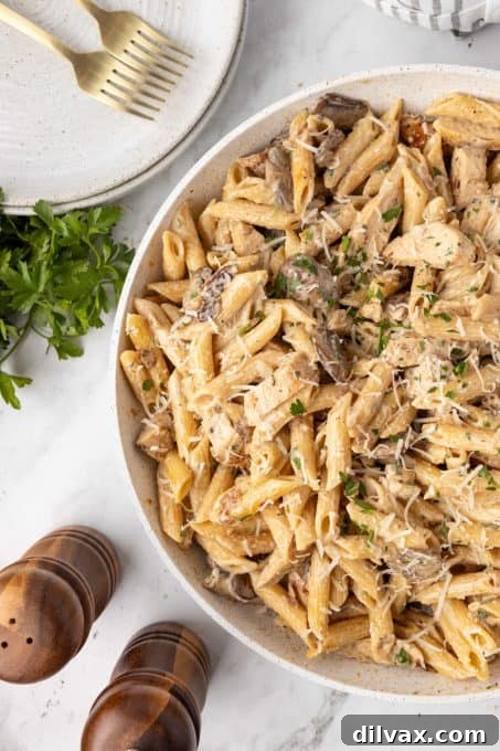 A bowl of creamy chicken and mushroom pasta ready to be served, garnished with fresh herbs.