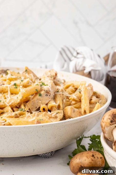 An inviting close-up of creamy pasta with mushrooms and chicken, perfectly seasoned and ready to eat.