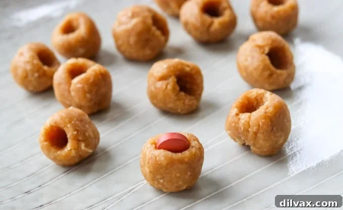 Homemade Dog Pill Pockets