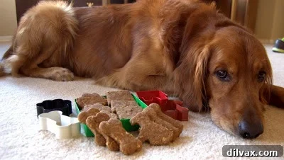 Peanut Butter Banana Dog Treats