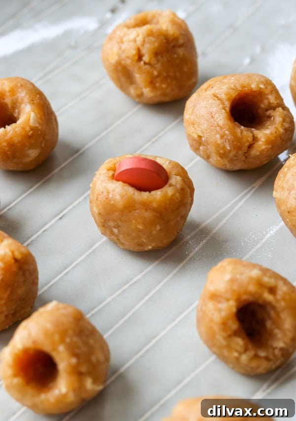 A pill in a Homemade Dog Pill Pocket