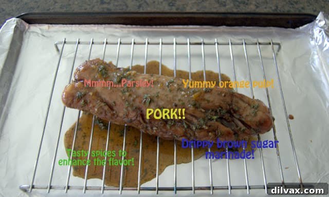 Zesty Orange Spiced Pork Tenderloin 4 img 456 3