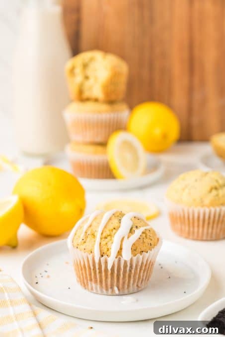 Lemon muffins with poppy seeds, arranged on a serving tray.