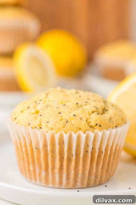 Close-up of a Lemon Poppy Seed Muffin, showing its fluffy texture and poppy seeds.
