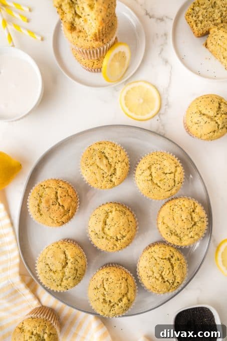Easy muffins with poppy seeds and lemon flavor on a white plate.