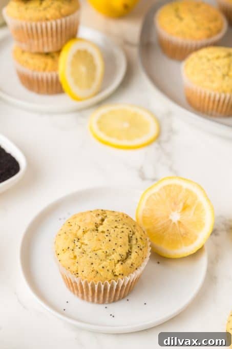 Citrus flavored poppy seed muffins with a light lemon glaze.
