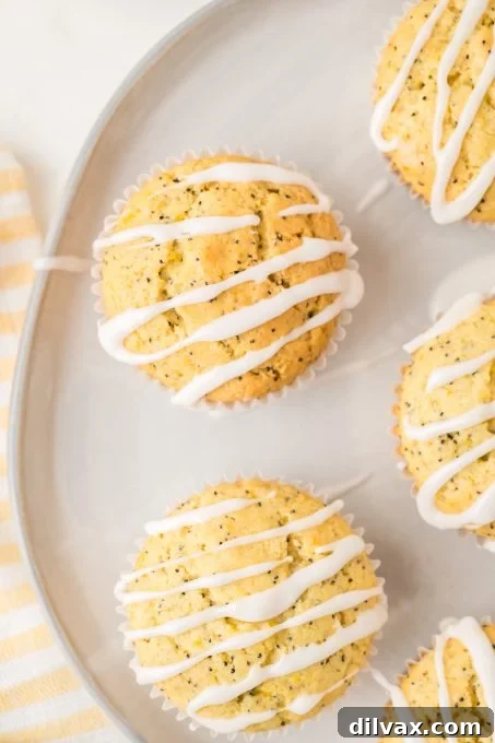 Poppy Seed Muffins with a lemon glaze and fresh lemon slices.