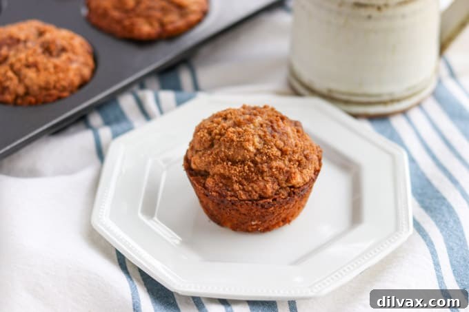 Freshly baked Cinnamon Streusel Muffins ready for breakfast.