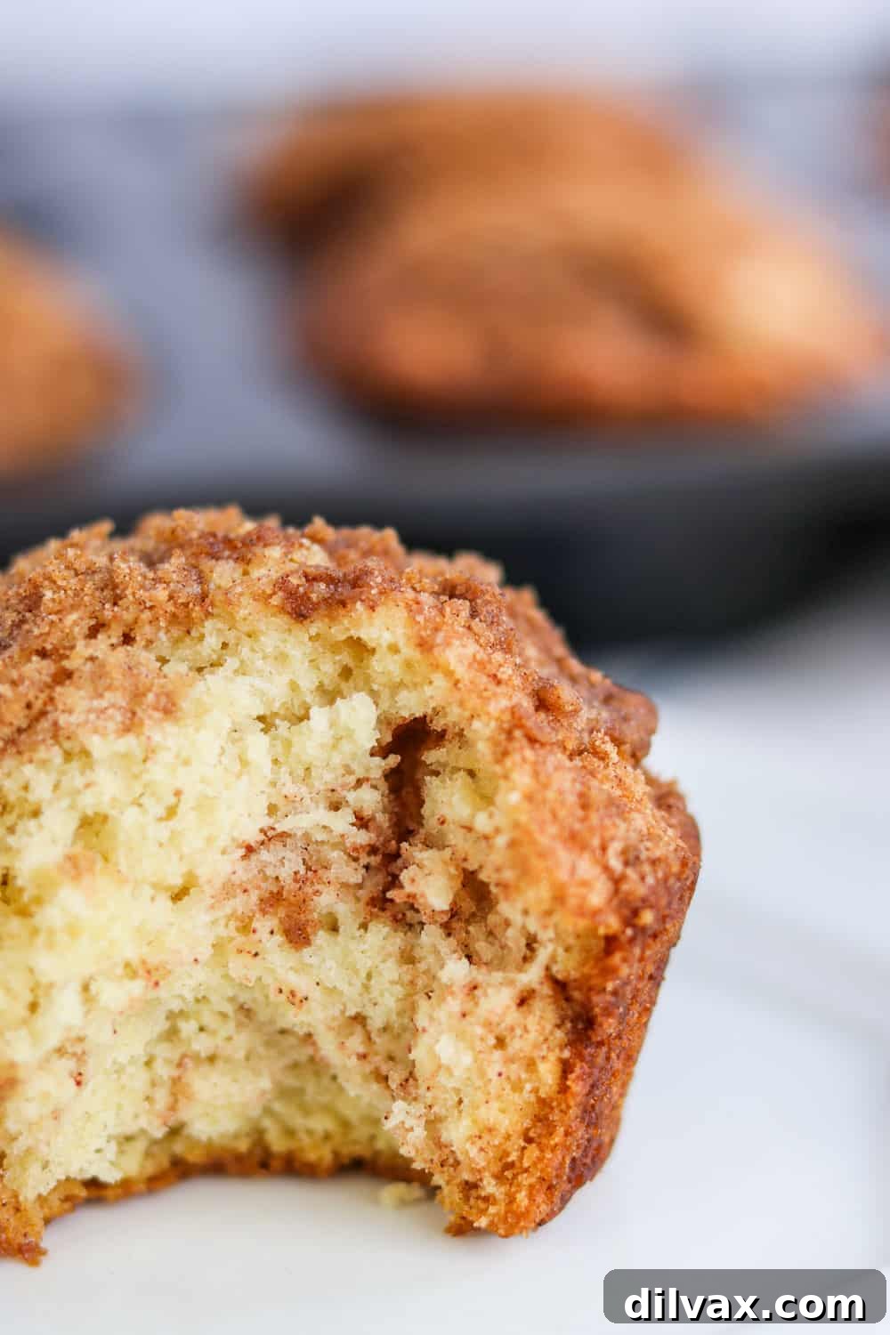 A close-up of a Cinnamon Streusel Muffin with a bite taken out, revealing the swirled cinnamon sugar.