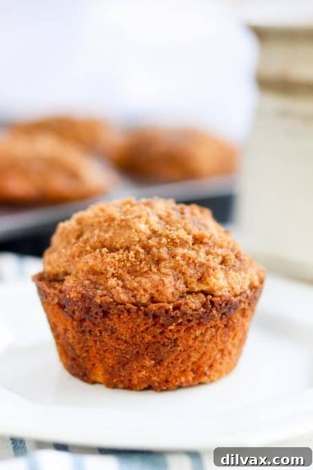 A perfectly golden Cinnamon Streusel Muffin resting on a plate, ready to be enjoyed.
