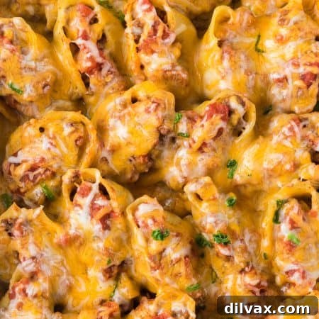 Tex-Mex Pasta Shells 11 Stuffed Taco Shells