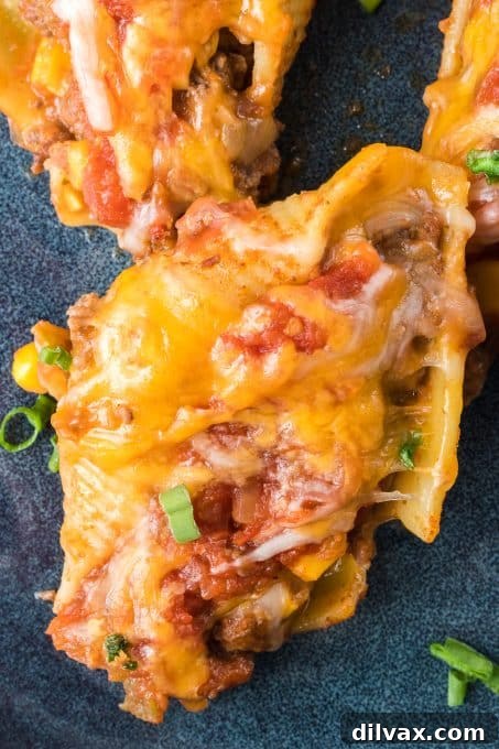 Tex-Mex Pasta Shells 3 A large baking dish filled with golden-brown Taco Stuffed Shells, showing the rich filling and bubbly cheese.