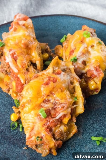 Tex-Mex Pasta Shells 7 A close-up of a single Taco Stuffed Shell cut in half, revealing the flavorful filling of taco meat, corn, and beans, all topped with melted cheese.