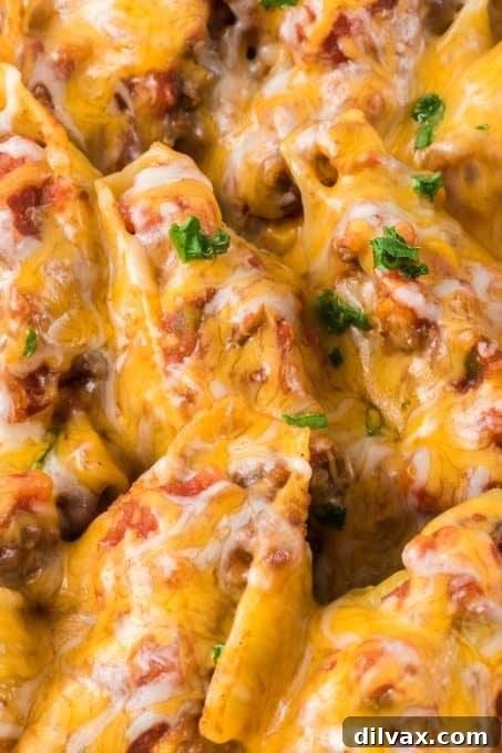 Tex-Mex Pasta Shells 8 Overhead view of a casserole dish with freshly baked Taco Stuffed Shells, garnished with green onions and cilantro.