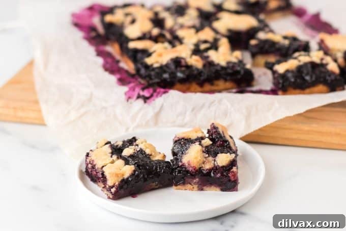 Blueberry Bars - a vibrant dessert for summer