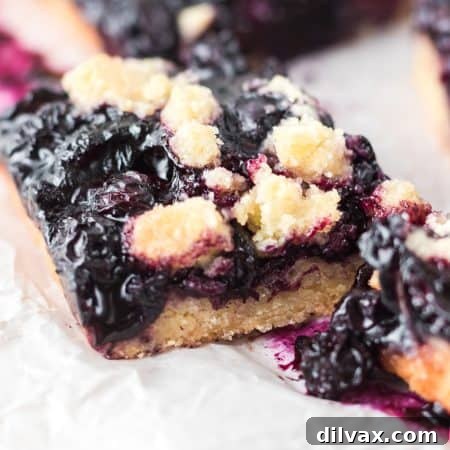 Blueberry Bars