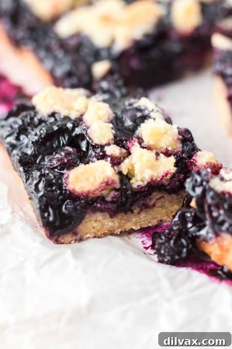 Freshly baked Blueberry Bars ready to be served