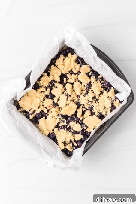Unbaked Blueberry Crumble Bars, ready for the oven