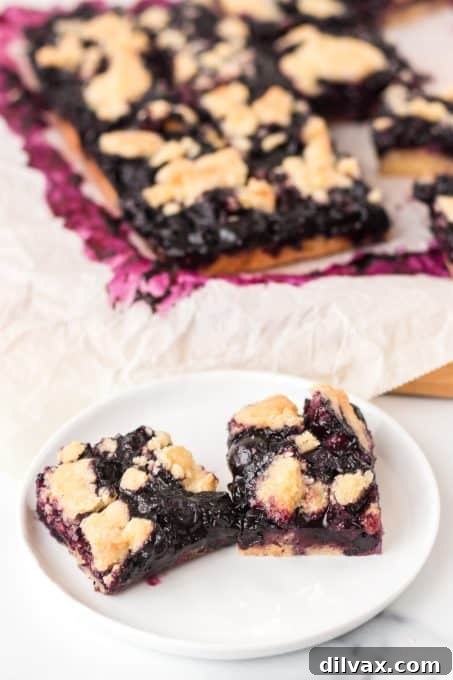 Close-up of crumb bars with fresh blueberries