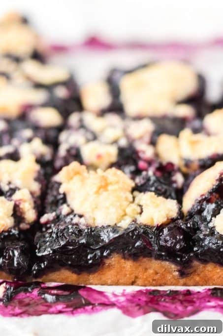 Platter of Blueberry Bars for a party