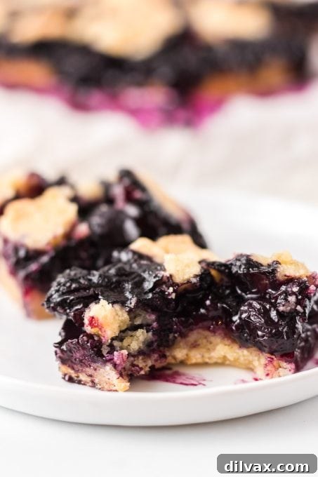 Beautiful blueberry dessert bars artfully arranged