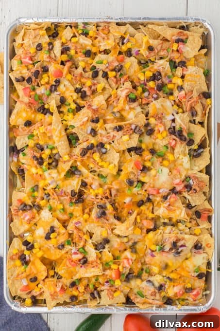 A baking sheet filled with freshly baked, loaded BBQ chicken nachos, ready to be served.