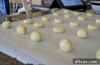 Celebrating 21 Years with Lemon Basil Cookies 11 Cookie dough balls flattened with a sugar-dipped glass on a baking sheet.