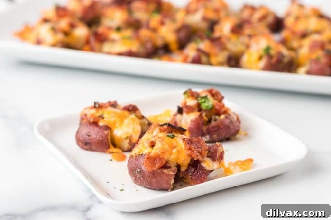 Fully Loaded Crispy Potatoes 2 Perfectly golden and crispy Loaded Smashed Potatoes, topped with melted cheese and crumbled bacon, ready to be served as a delightful side dish.