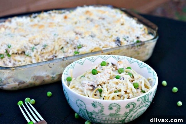 Mom It Forward Family Favorites 11 A creamy and savory Turkey Tetrazzini casserole, bubbling hot from the oven and garnished with parsley, ready to be served.