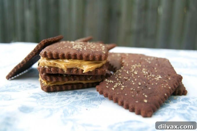 Mom It Forward Family Favorites 6 A stack of golden brown Homemade Chocolate Graham Crackers, with a subtle chocolate hue, ready to be enjoyed as a snack.