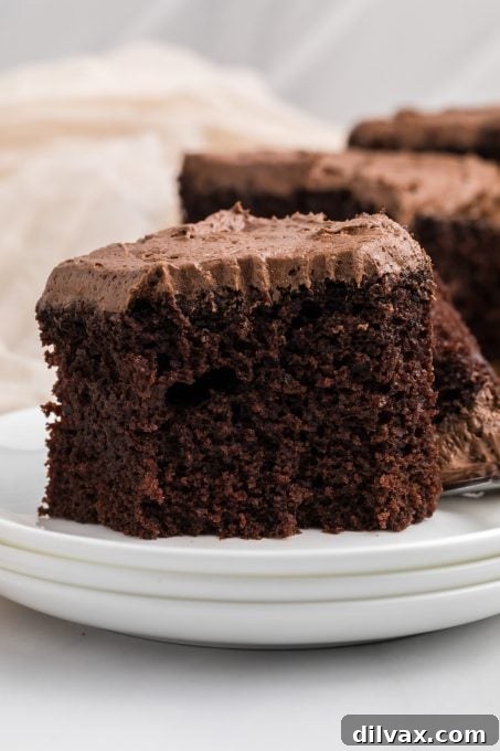 Buttermilk Chocolate Cake