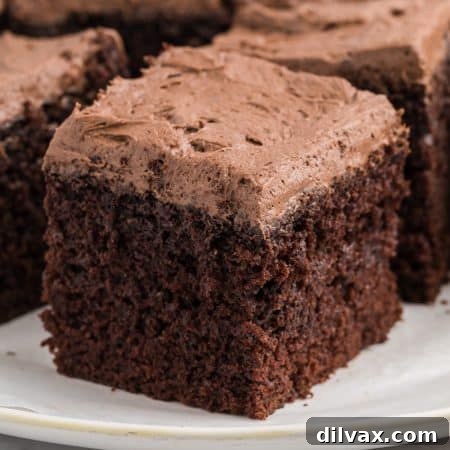 Buttermilk Chocolate Cake
