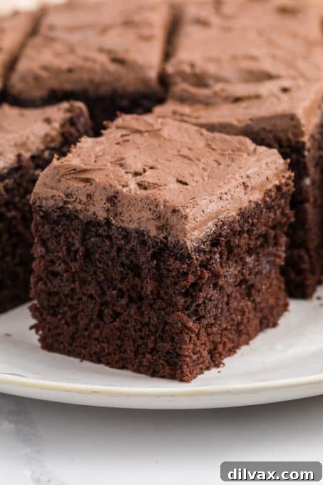 Buttermilk Chocolate Cake