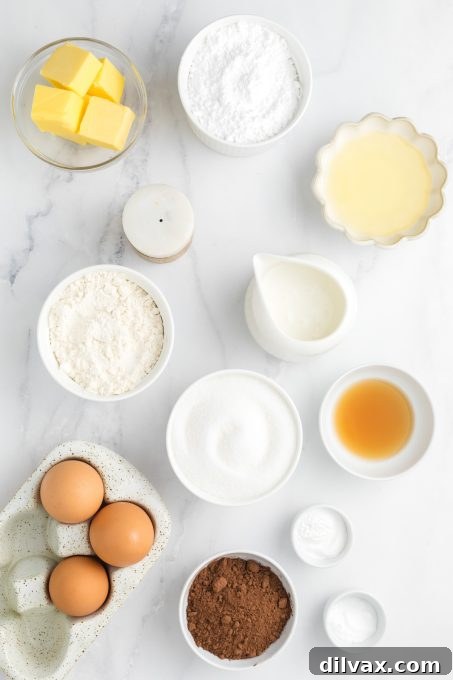 Buttermilk Chocolate Cake ingredients.