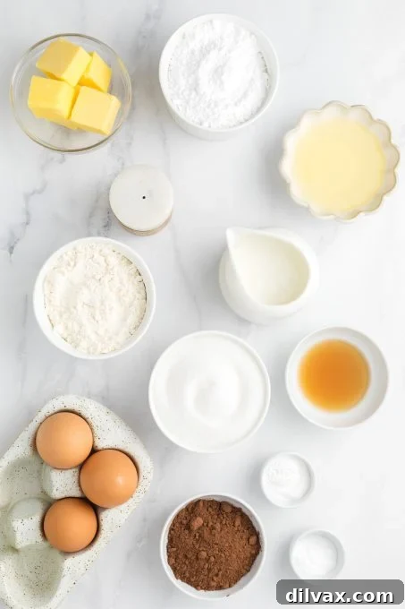 Velvet Buttermilk Chocolate Cake 4 Buttermilk Chocolate Cake ingredients, neatly arranged on a counter.