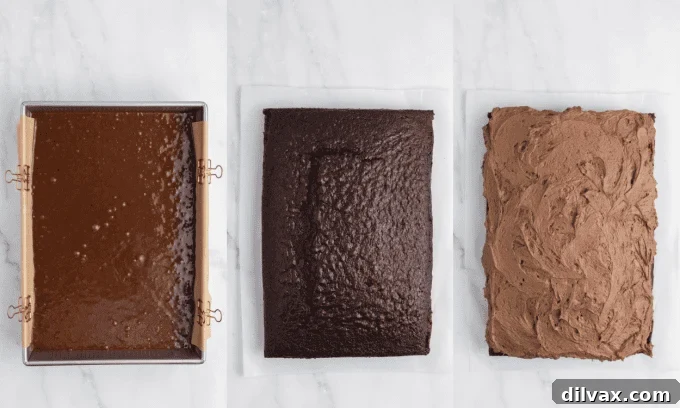 Velvet Buttermilk Chocolate Cake 6 Second set of process photos for Buttermilk Chocolate Cake, showing wet ingredients added to dry ingredients.