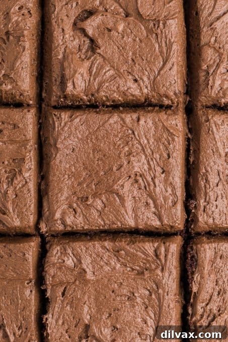 Velvet Buttermilk Chocolate Cake 8 Squares of chocolate buttercream frosted chocolate buttermilk cake on a white serving plate.