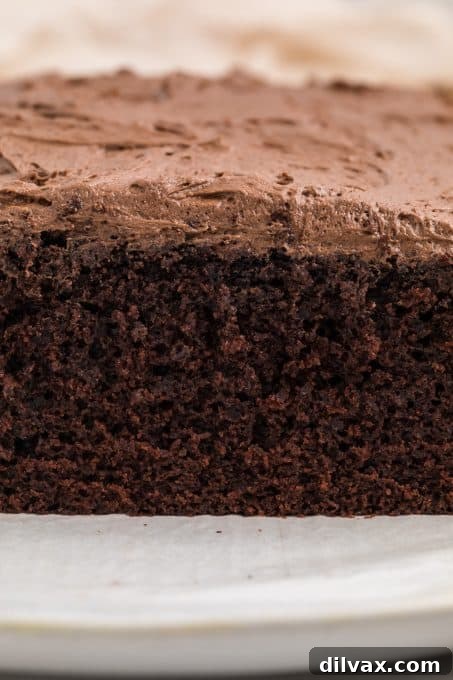 Velvet Buttermilk Chocolate Cake 9 A slice of moist chocolate cake made with buttermilk, garnished simply.