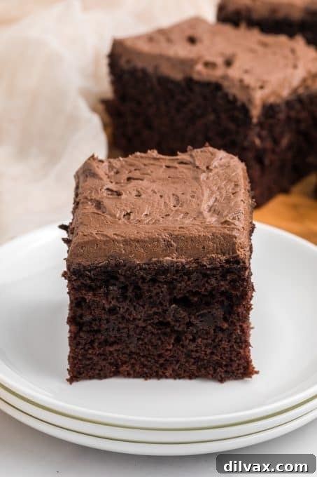 Velvet Buttermilk Chocolate Cake 10 Chocolate Buttercream frosting on top of a Chocolate Buttermilk Cake, showing the smooth texture.
